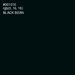 #001010 - Black Bean Color Image